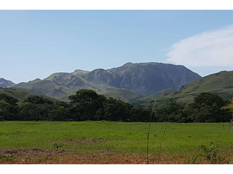 Se vende finca en Penonomé, Coclé — foto 6