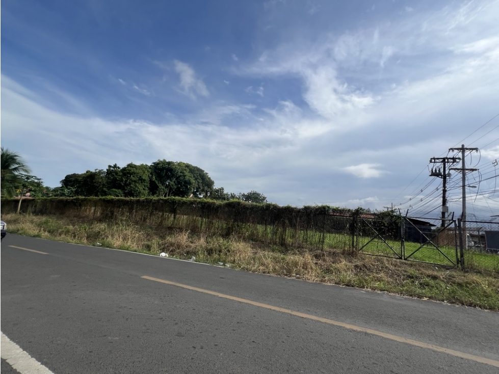 SE VENDE TERRENO EN PEDREGAL (CIUDAD DE PANAMA) - 6