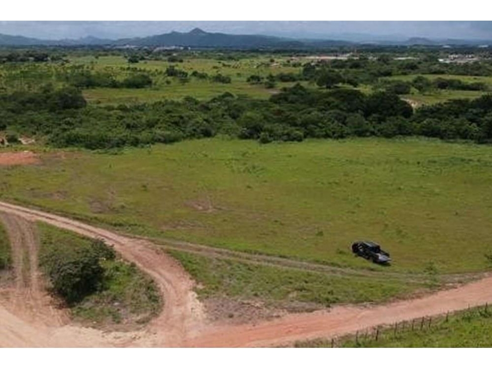 Venta de finca en Penonomé, Coclé — foto 4