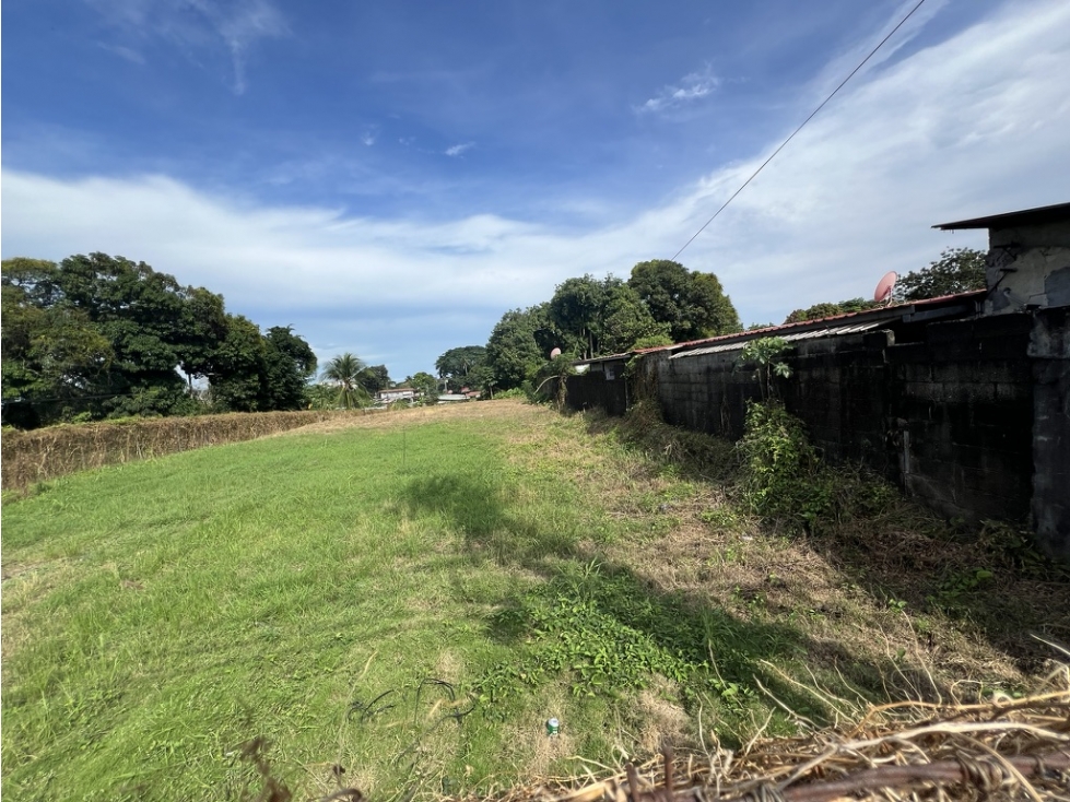 SE VENDE TERRENO EN PEDREGAL (CIUDAD DE PANAMA) - 4