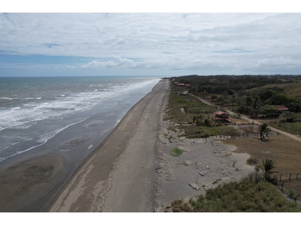Se Venden Hectáreas en Las Tablas, Los Santos - 5