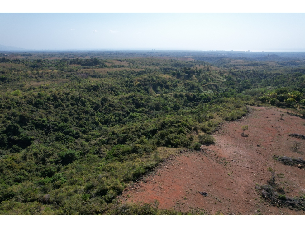 Se vende finca en El Copecito, San Carlos - 4