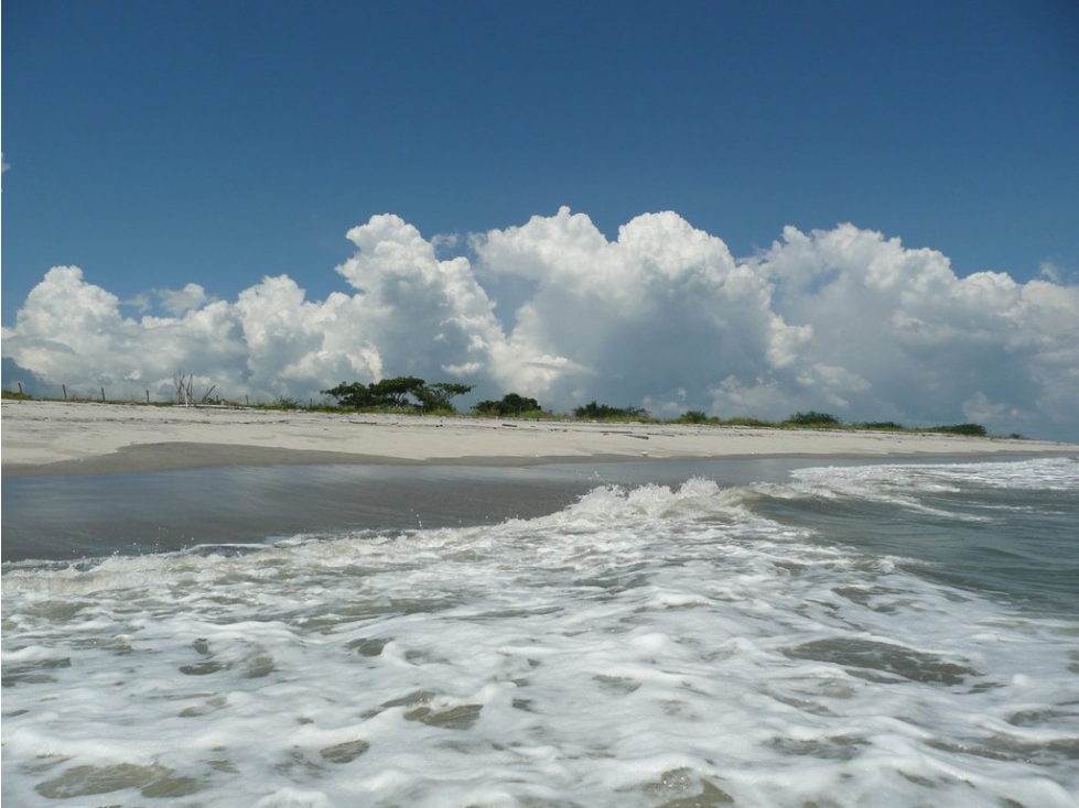 Venta de terreno de playa Punta Barco, San Carlos — foto 3