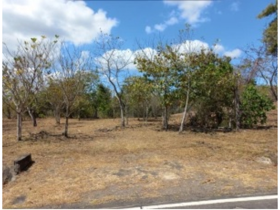 Terreno en venta vía al Valle de Antón, San Carlos — foto 2