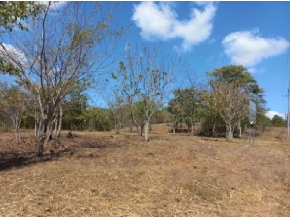 Terreno en venta vía al Valle de Antón, San Carlos — foto 4