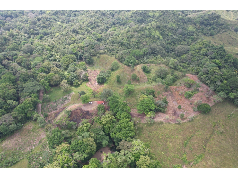 Se vende Finca en Viento Frío, Santa Isabel - 3