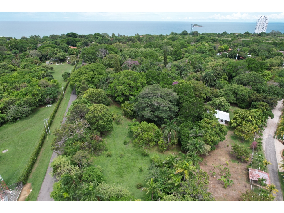 Se vende lote en Santa Clara, Coclé - 6