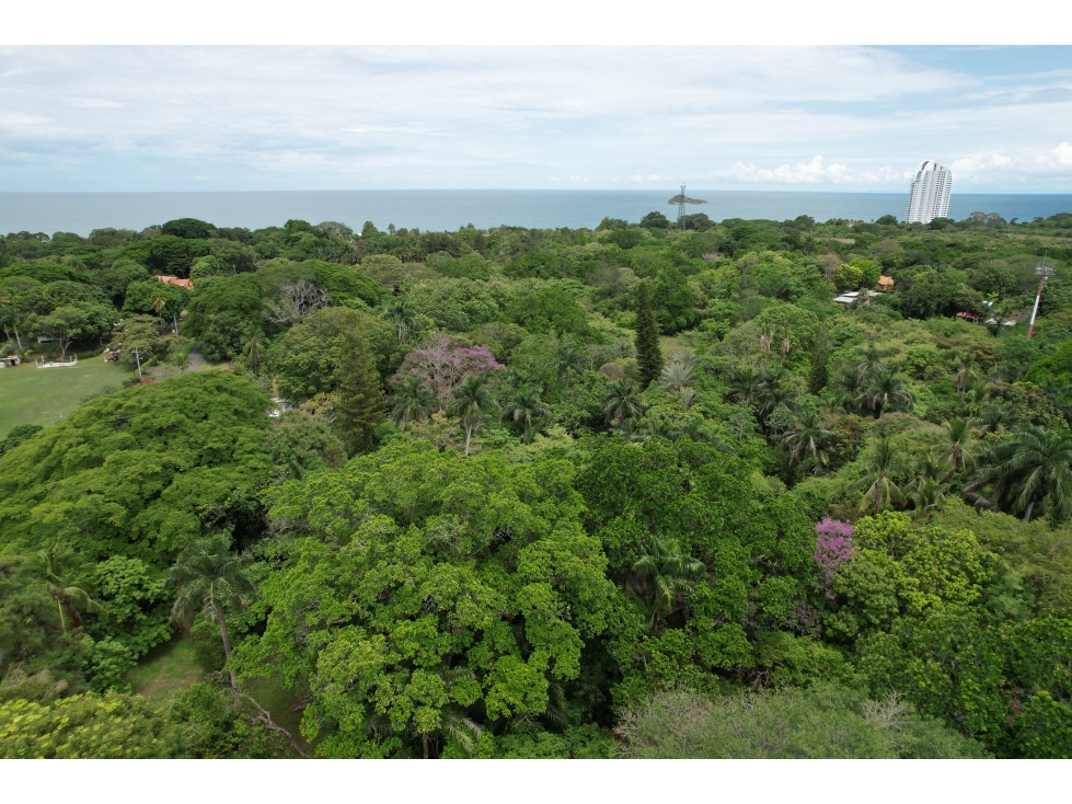 Se vende lote en Santa Clara, Coclé - 2