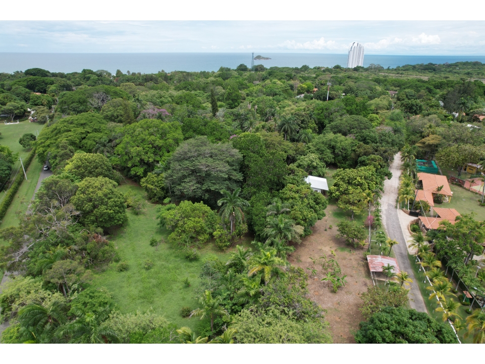 Se vende lote en Santa Clara, Coclé - 6