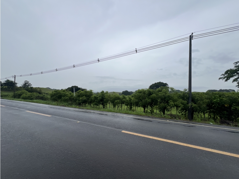 Venta de finca en Río Salado, Los Santos - 5