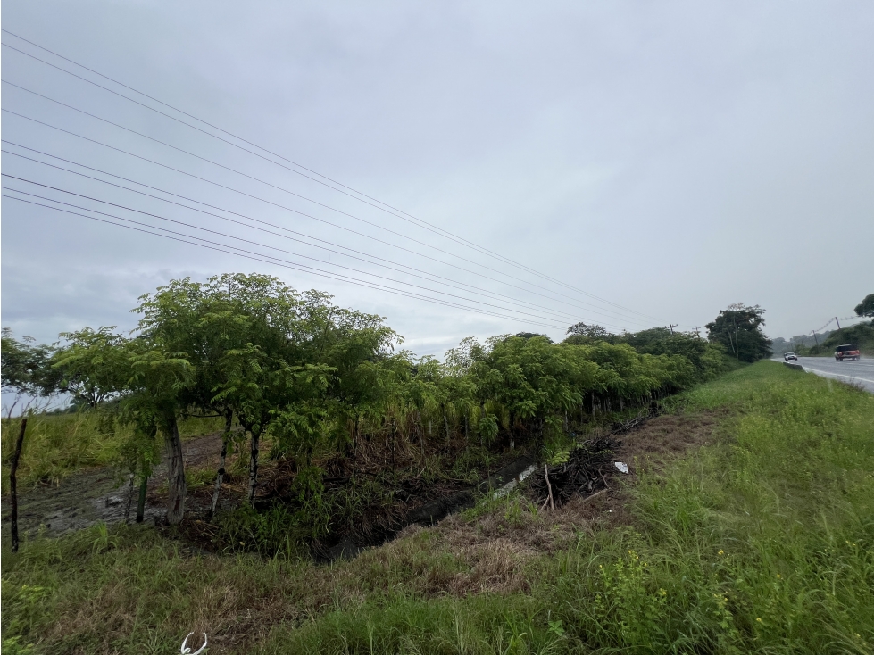 Venta de finca en Río Salado, Los Santos - 6