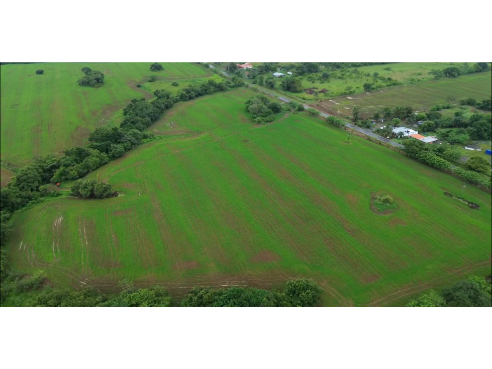 Venta de finca en Pedasí, Los Santos - 3