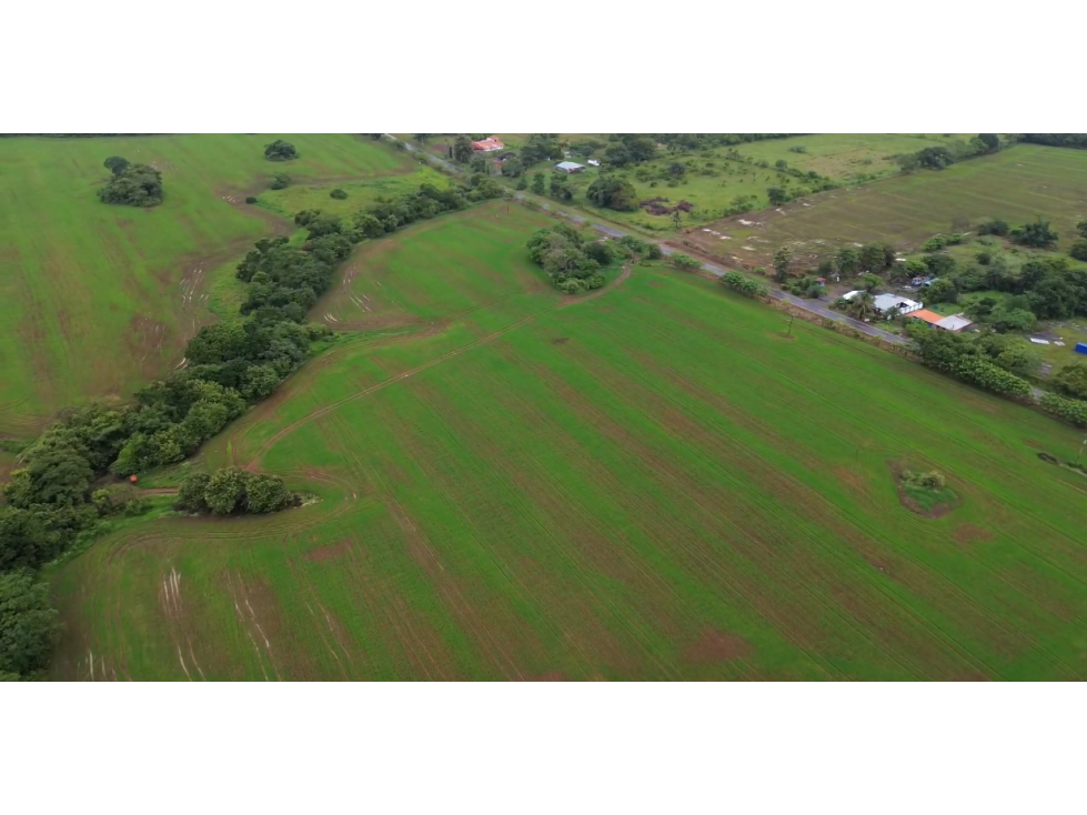 Venta de finca en Pedasí, Los Santos - 4