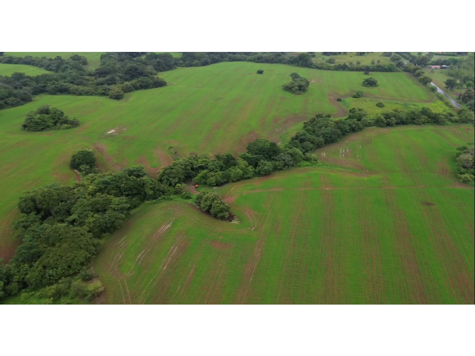 Venta de finca en Pedasí, Los Santos - 5