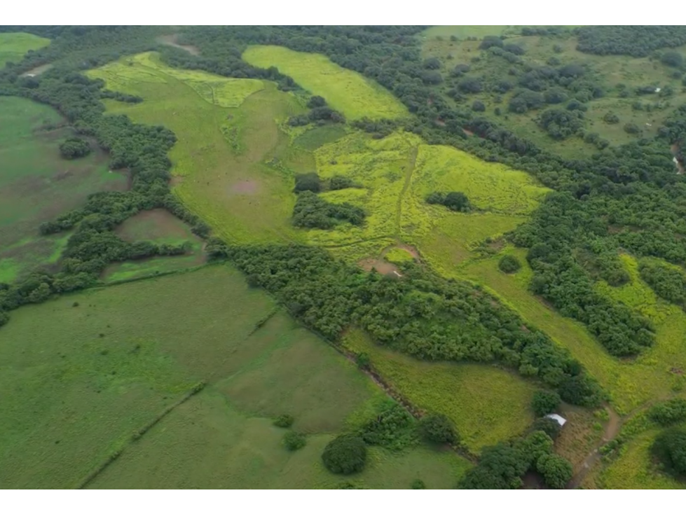 Venta de finca en Río Salado, Los Santos - 5