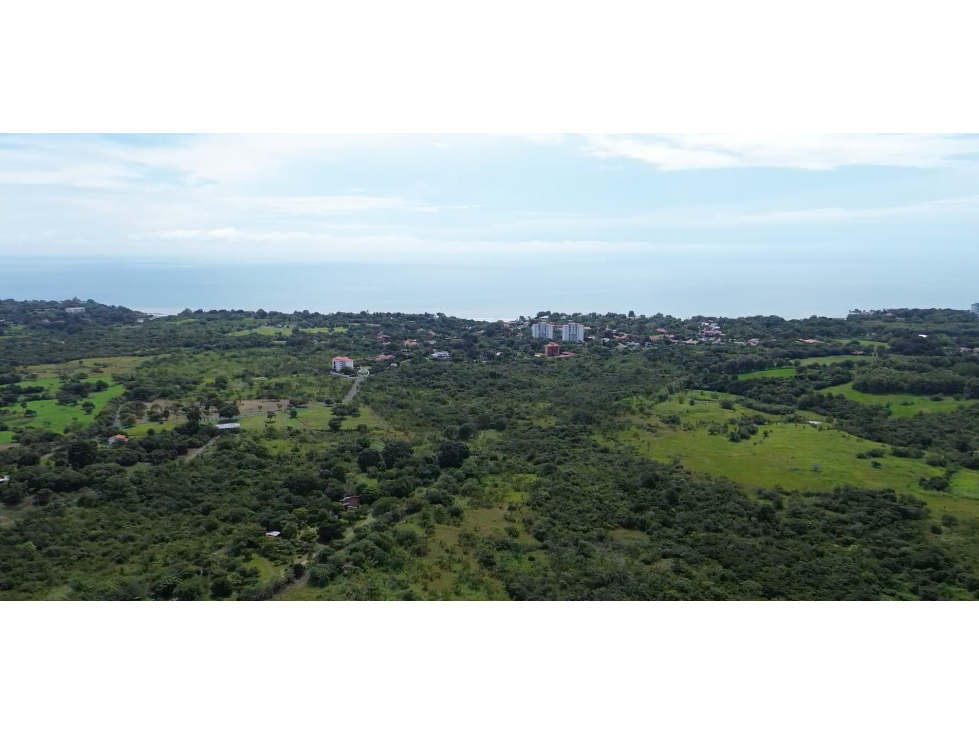 Venta de hectáreas en Punta Barco, San Carlos — foto 2