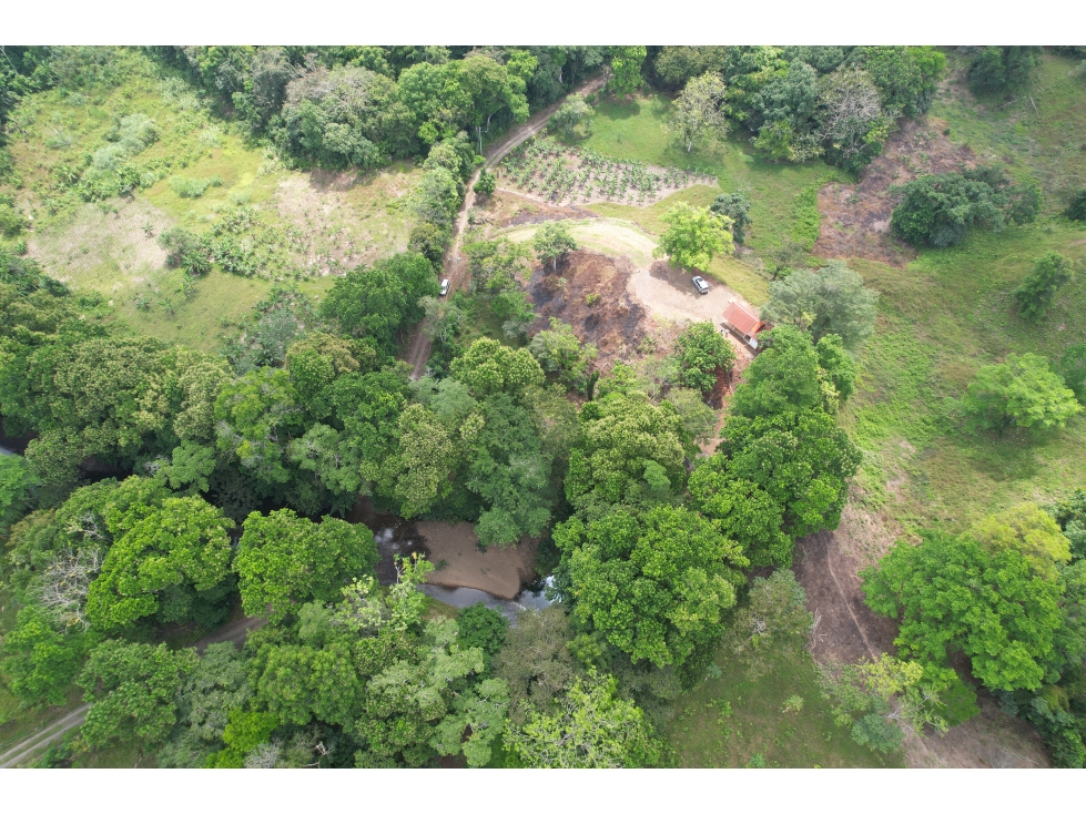 Se vende Finca en Viento Frío, Santa Isabel - 4
