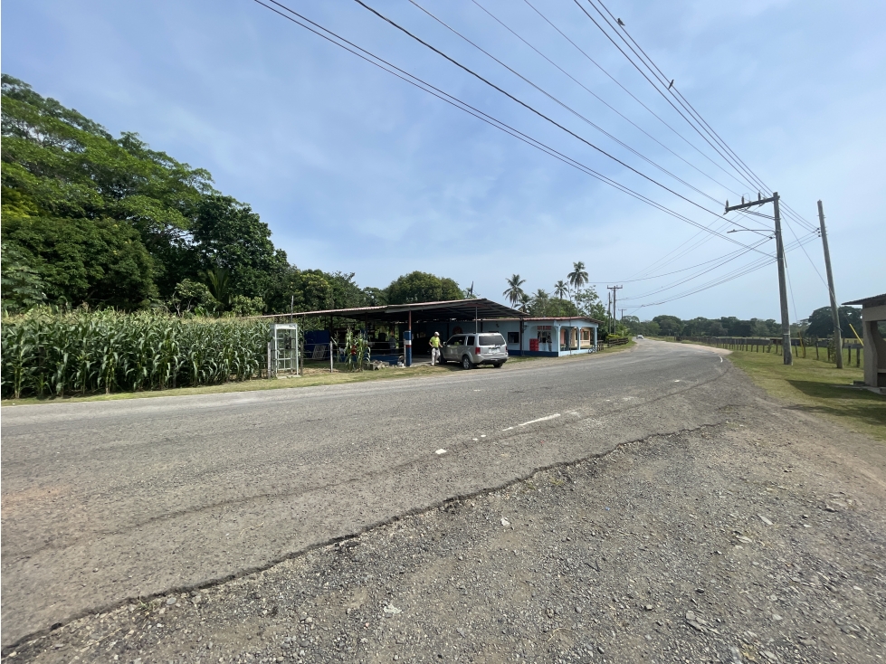 Se vende Finca en Viento Frío, Santa Isabel - 6