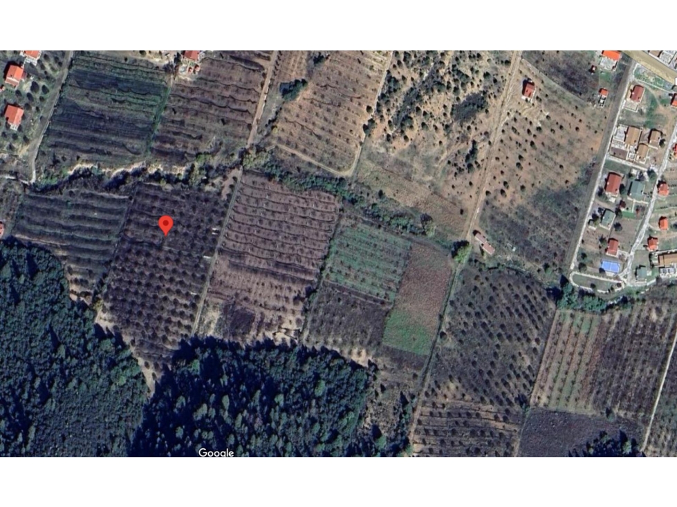 Terreno en venta en Arteaga Coahuila con mas de 250 manzanos maduros — foto 4
