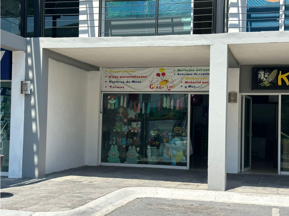 Local en Venta y renta en Guadalupe cercano al estadio BBVA - 6
