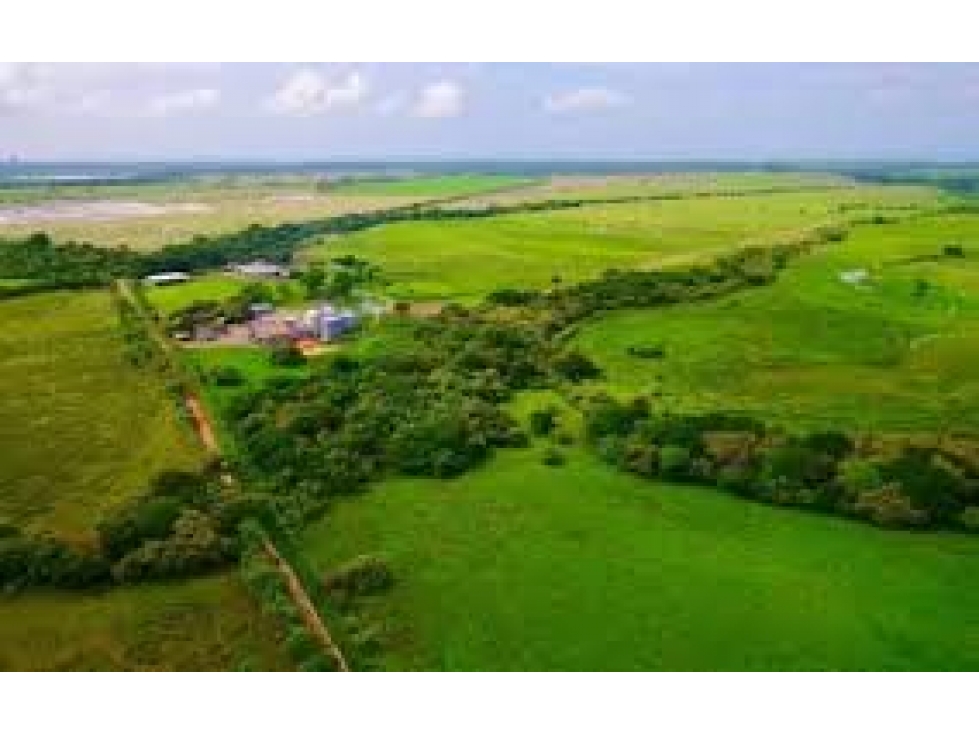 VENTA DE TERRENO FRENTE AL MAR EN JUAN HOMBRÓN COCLE PANAMÁ - 4