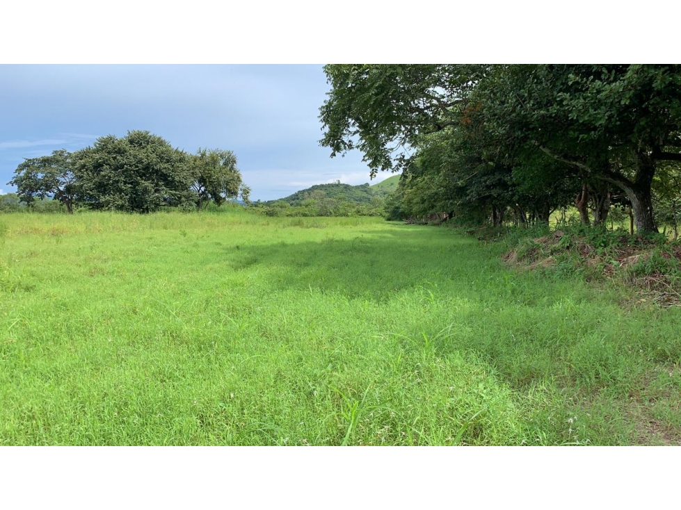 Se vende Terreno de 5 Hectareas en Penonomé - 2