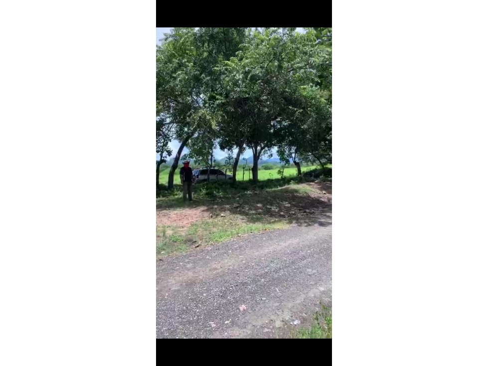 Se vende Terreno de 5 Hectareas en Penonomé - 4