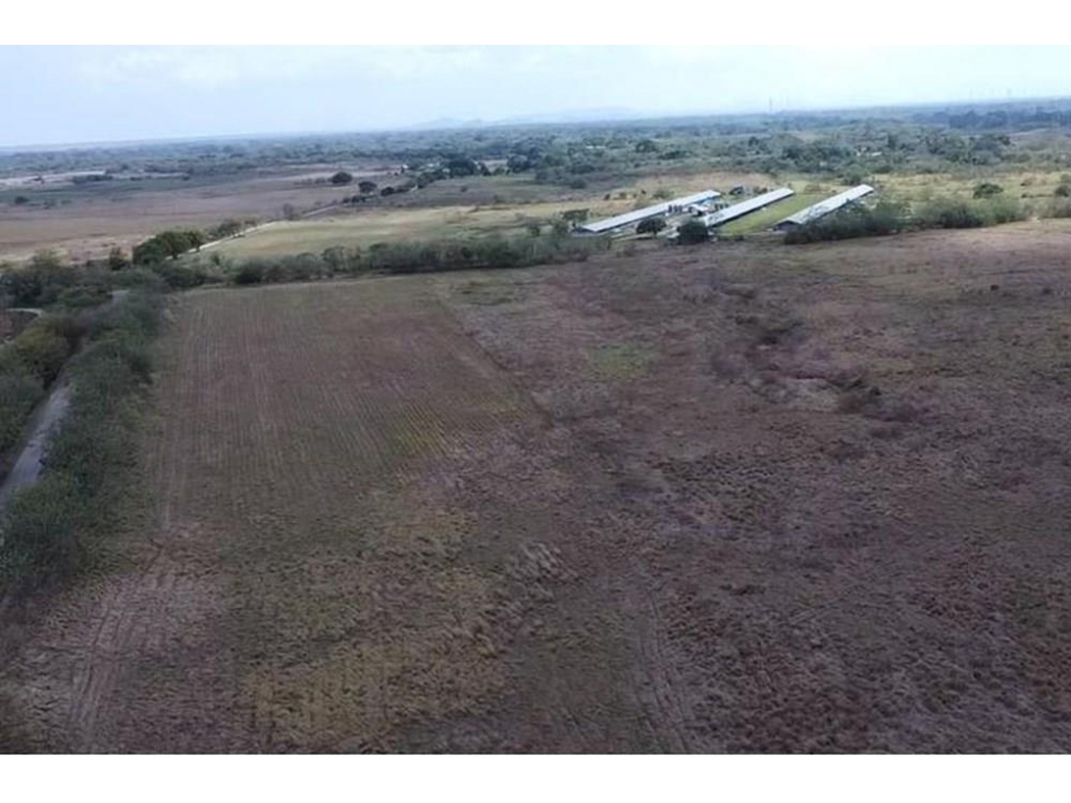 Se vende finca frente a la panamericana en Antón, Coclé - 1