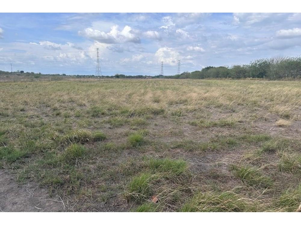 Se vende finca frente a la panamericana en Antón, Coclé - 3