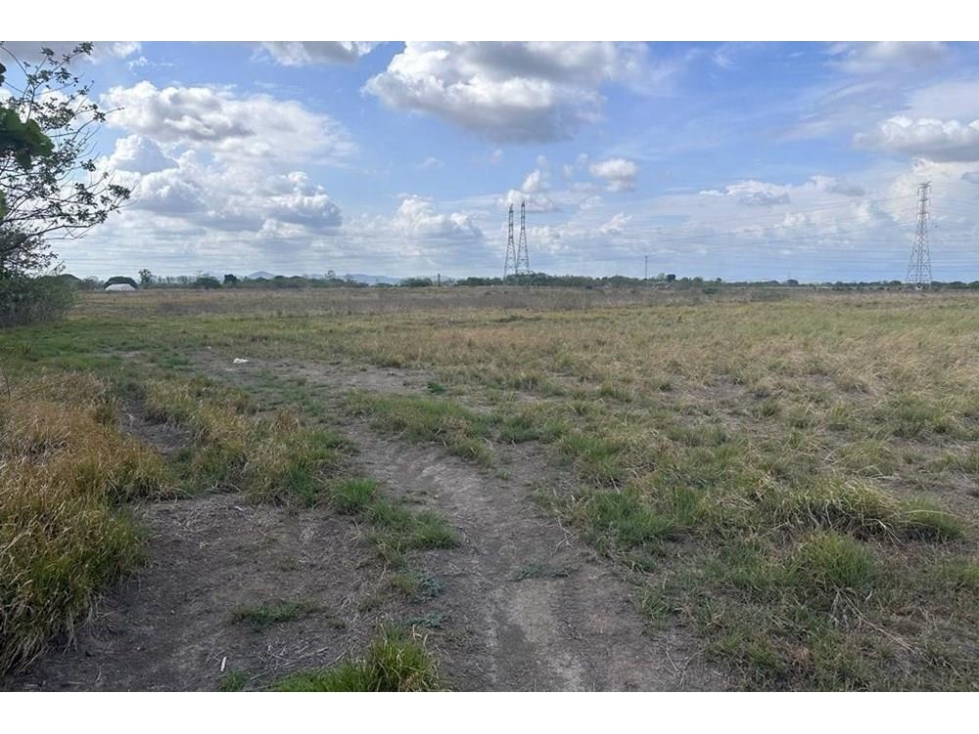 Se vende finca frente a la panamericana en Antón, Coclé - 5