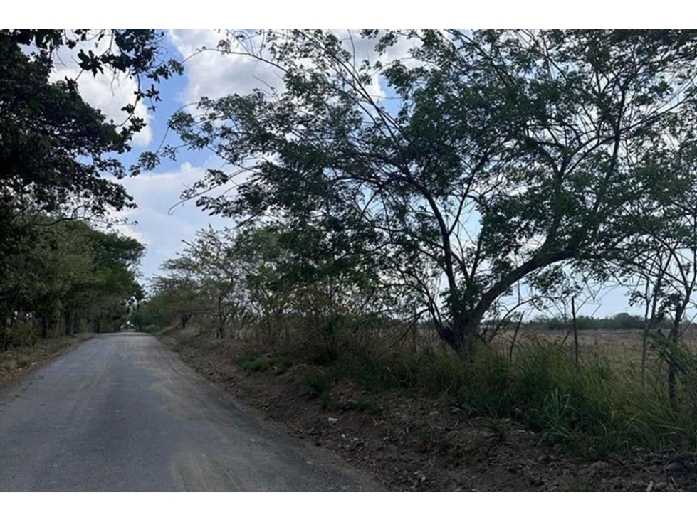 Se vende finca frente a la panamericana en Antón, Coclé - 6