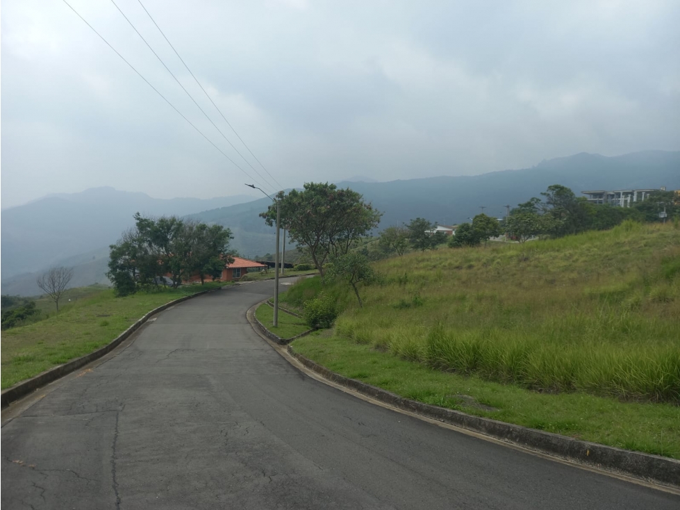 Lote