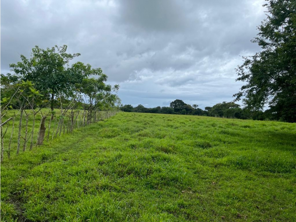 Se vende finca en Pedasí, Los Santos - 1