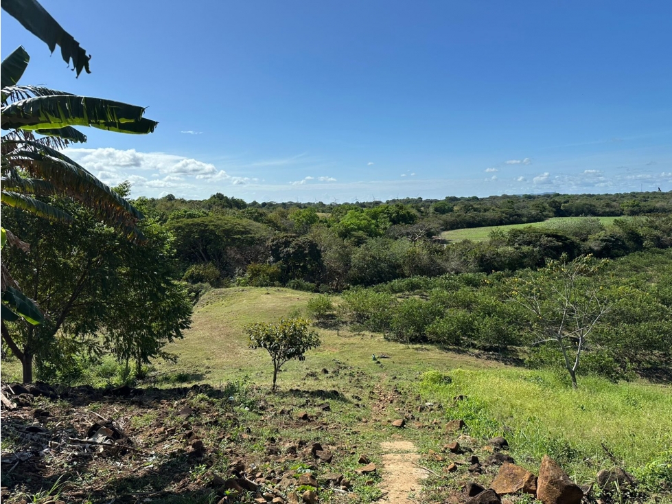 Se vende Finca en Cañaveral, Coclé — foto 2