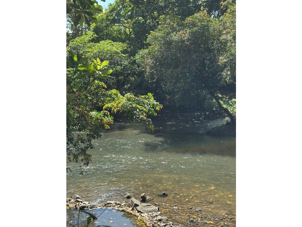 Se vende Finca en Cañaveral, Coclé — foto 3