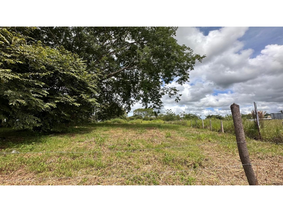 Se vende terreno en David, Chiriquí - 3