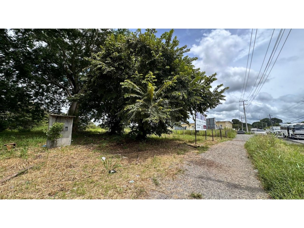 Se vende terreno en David, Chiriquí - 4