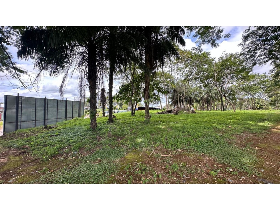 Se vende terreno en David, Chiriquí - 5