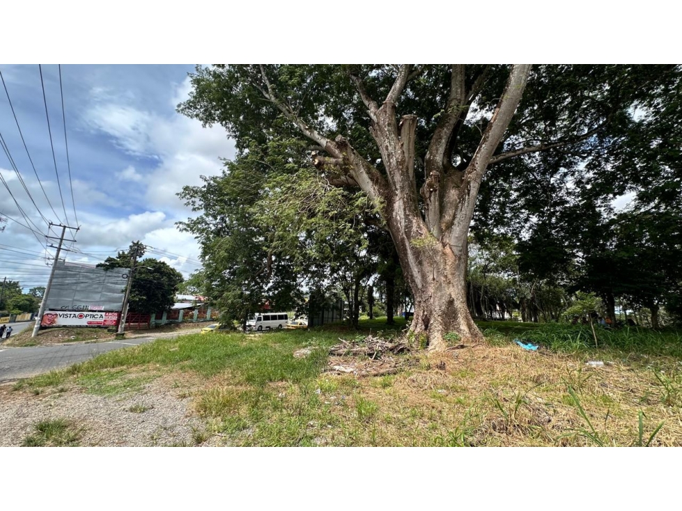 Se vende terreno en David, Chiriquí - 6