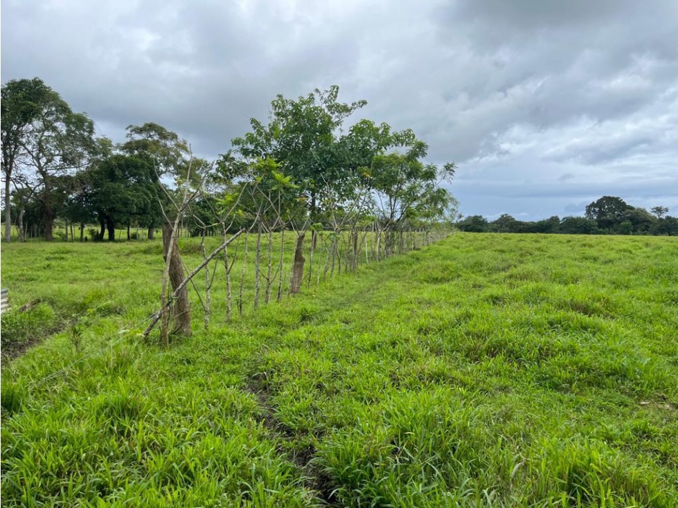 Se vende finca en Pedasí, Los Santos - 2