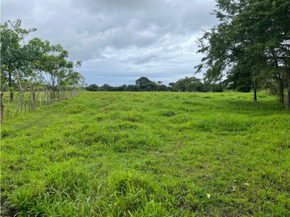 Se vende finca en Pedasí, Los Santos - 3