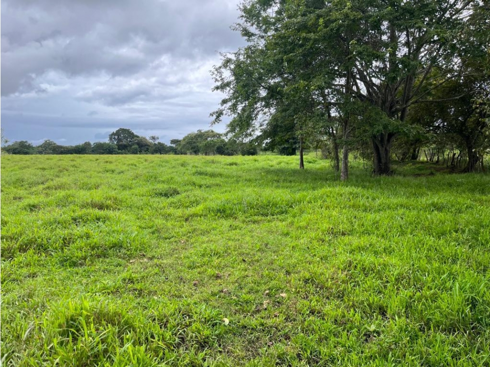 Se vende finca en Pedasí, Los Santos - 4