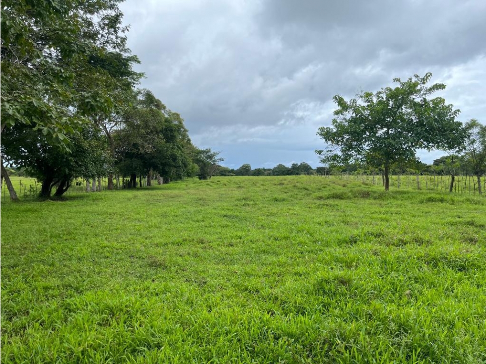 Se vende finca en Pedasí, Los Santos - 5