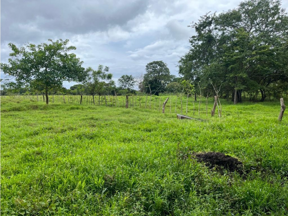 Se vende finca en Pedasí, Los Santos - 6