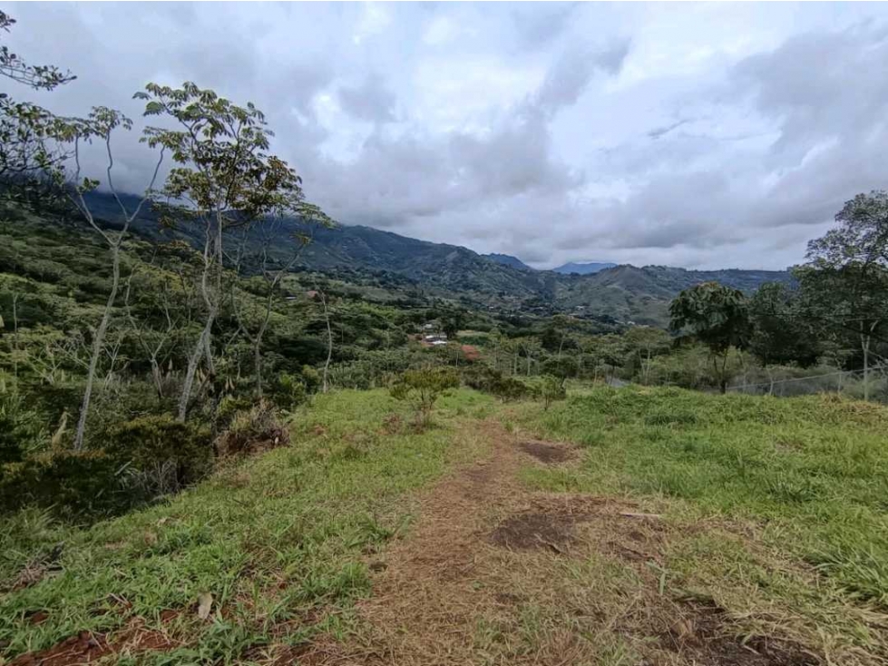 Se venden lotes de 1000 mtr2 en la reforma.
