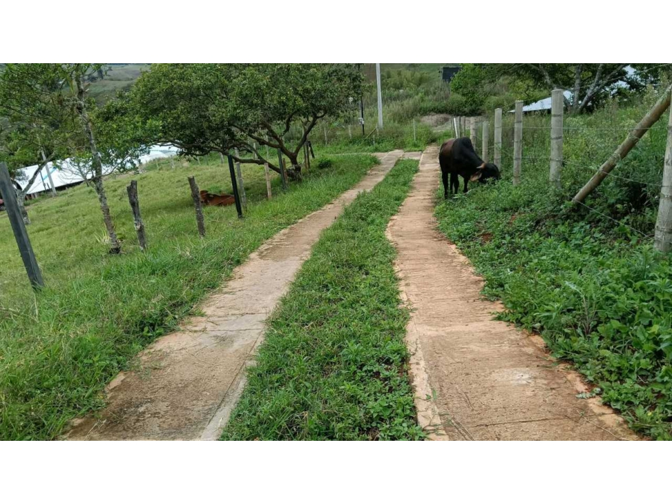 VENDO LOTE EN JIGUALES LA CUMBRE LJ 9159934 - 5
