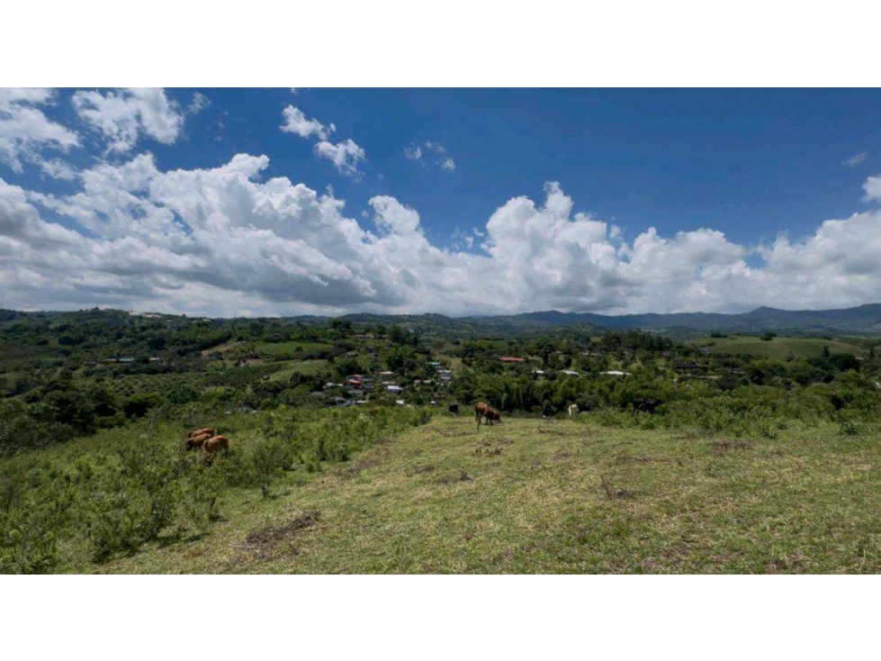 Lotes km 34 vía a El Queremal VZ — foto 6