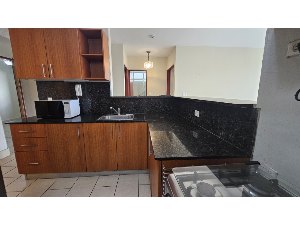 Venta de Apartamento en PH Met view Ricardo J Alfaro — foto 5
