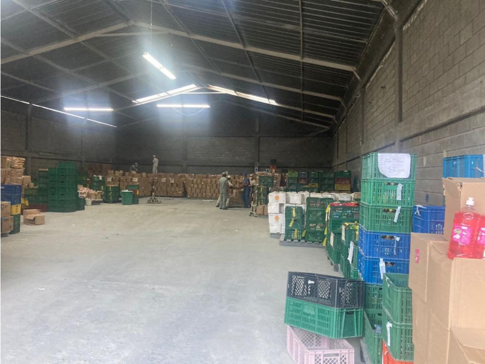 Bodega — foto 3