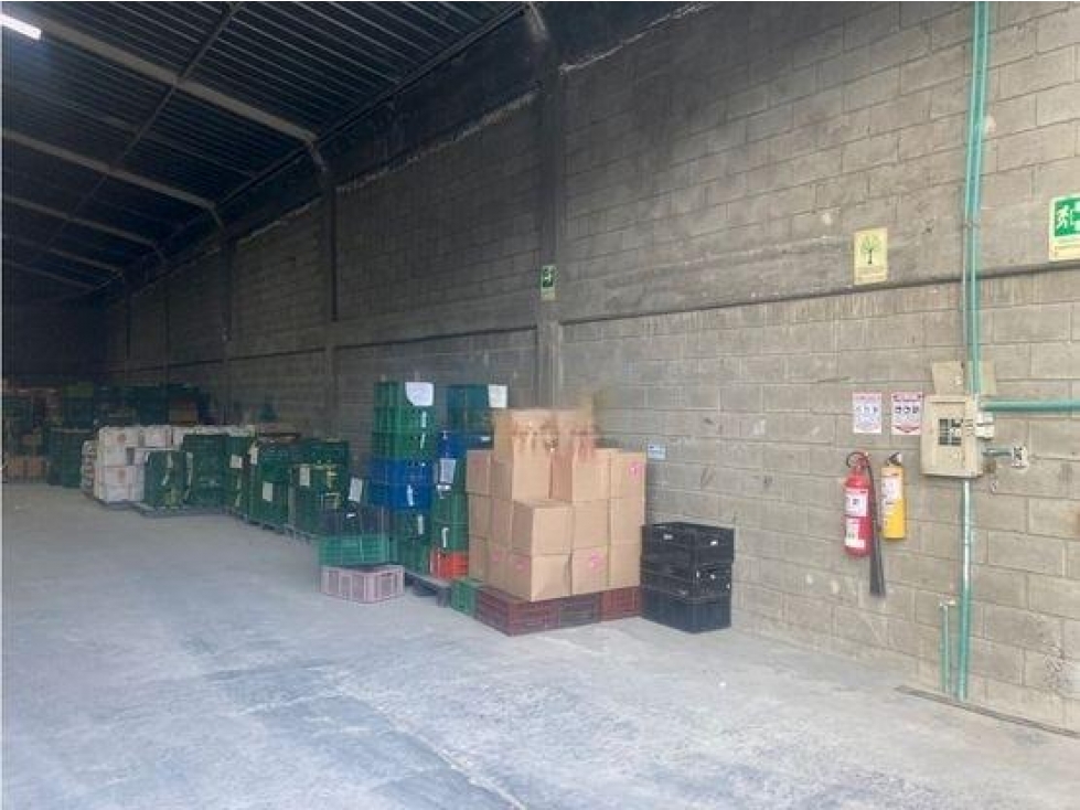 Bodega — foto 4